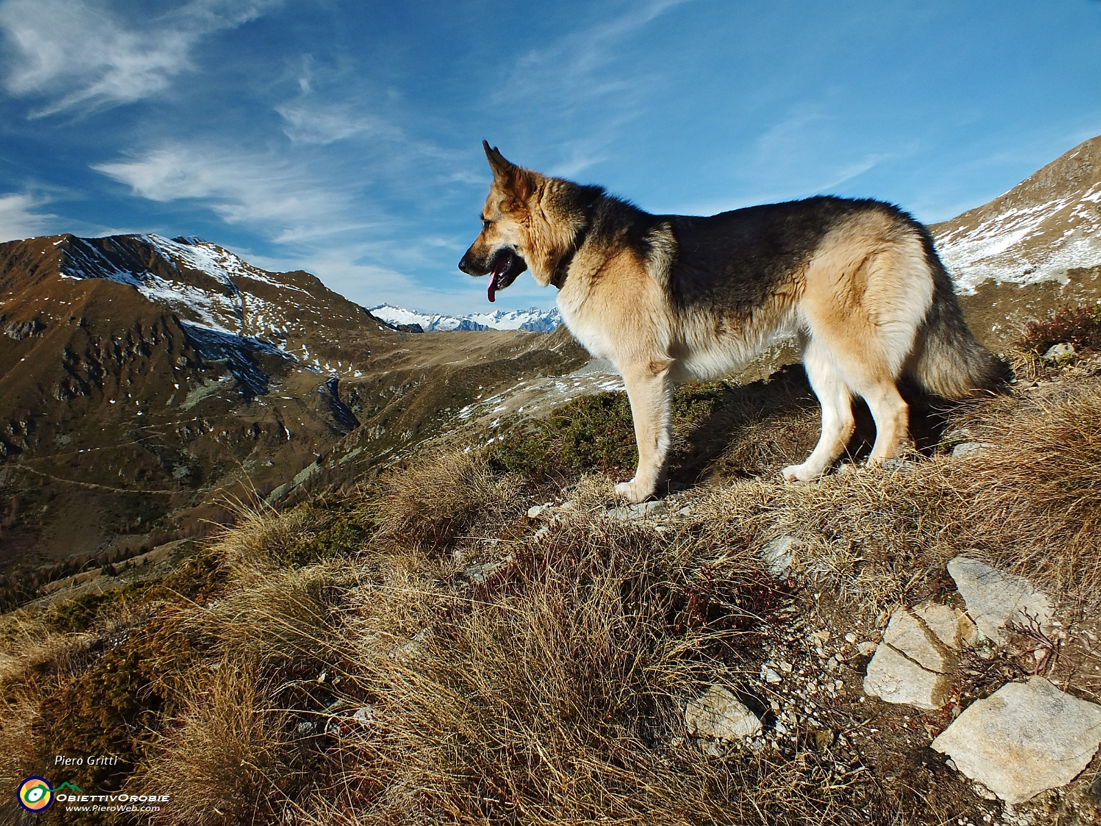 55 verso Passo di Tartano, Cima Lemma e le Alpi Retiche.JPG